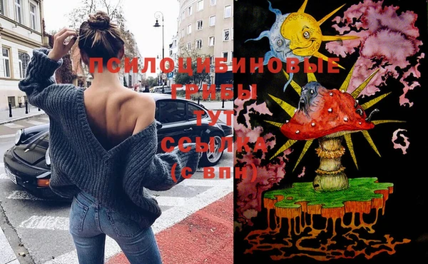 молекула духа Горнозаводск