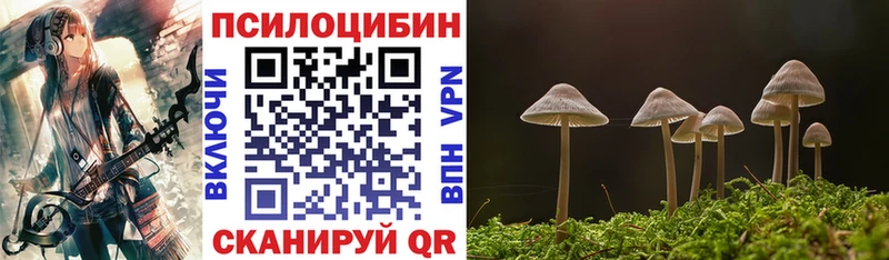 Купить  Трёхгорный  Псилоцибиновые грибы мухоморы 